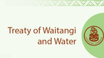 Resource Treaty of Waitangi and Water Image