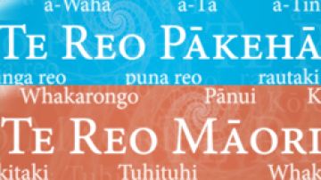 Resource Wall banner Te Reo Maori English Image